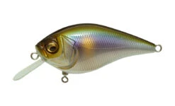 Megabass Knuckle LD -go fishing KNUCKLELD PMSetsukiAyu