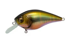 Megabass Knuckle LD -go fishing KNUCKLELD WaginOikawaM