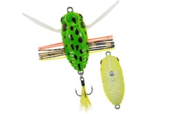 Koshinmushi -go fishing KOshin ccc3265