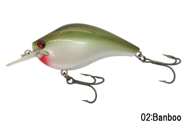 RC King Kong Shad 1 RC King Kong Shad