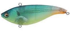 Megabass Konosirus -go fishing Konosirus Mat Lime600