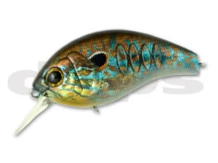 Korrigan Magnum -go fishing Korrigan42