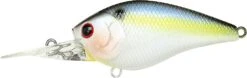 Lucky Craft LC DD Crankbaits 10 Lucky Craft LC DD Crankbaits -go fishing LC 1 5DDDRS 183PTHFSD d2c00c5f 3326 4610 ab76 d5bb204a02c2