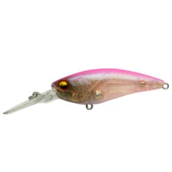Level Shad 16 Level Shad -go fishing LSD022 SKELETON CANDY