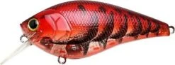Lucky Craft Fat CB BDS 2 11 Lucky Craft Fat CB BDS 2 -go fishing LUCKY CRAFT Fat CB BDS4 416 BP a9f51526 bc62 4e37 b790 dd7d31efcb48
