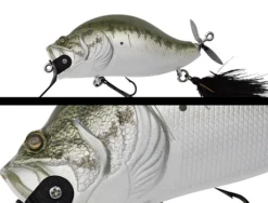 Zacrawl SC -go fishing Largemouth