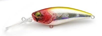 Level Shad 8 Level Shad - Image 8