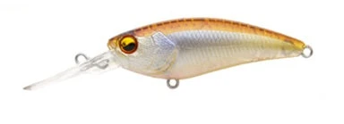 Level Shad 11 Level Shad - Image 11