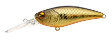 Level Shad 13 Level Shad - Image 13