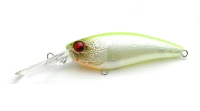 Level Shad 9 Level Shad - Image 9