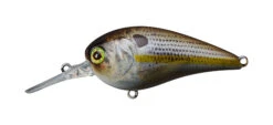 Jackall MC60 MR -go fishing MC60Rt Chart Shad