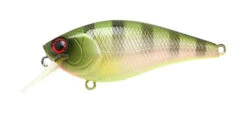 Lucky Craft LC MTS 2.2 -go fishing MTS Shikokin Rootbeer Gill