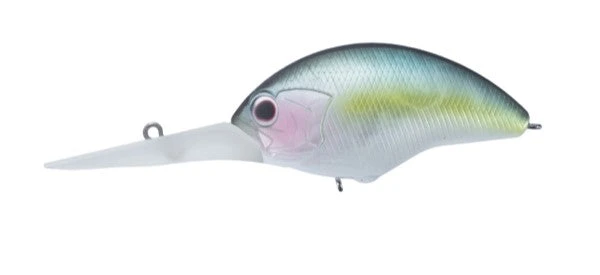 Blitz Max DR 18 Blitz Max DR - Image 18