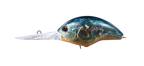 Blitz Max DR 1 Blitz Max DR