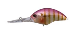 Blitz Max DR 38 Blitz Max DR -go fishing Max Dr Purple gill