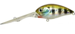 go fishing -go fishing Mogul5 Bluegill 600