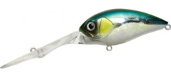 Mogul Crank -go fishing Mogul5 Emeraldshad 600