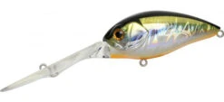 Mogul Crank -go fishing Mogul5 SilverbackOB 600