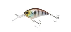Jackall Mushbob 50MR 22 Jackall Mushbob 50MR -go fishing Mushbob Urokuro Chigill