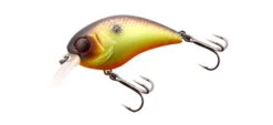 Jackall Mushbob 50MR 19 Jackall Mushbob 50MR -go fishing Mushbob muddy Chart 1