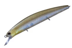 Varuna Spec 2 -go fishing Numeri Shad