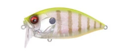 Megabass ORC Burning Shad -go fishing ORC PM Hit Gill