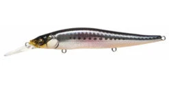 Megabass Ito Vision 110+1 SW -go fishing P1 GG Iwashi
