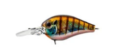 PC-5 Crankbaits