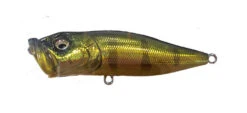 Megabass Pop-X -go fishing POP GG Kasumi