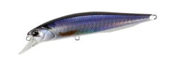 Jerkbait 120SP Pike Limited -go fishing Pike120RoachNDAFA3830