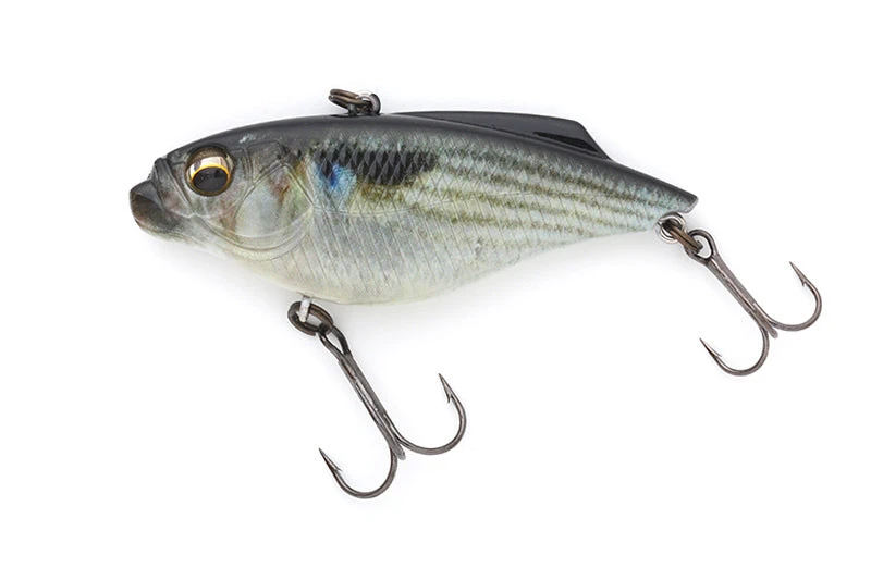 Piranha 4 Piranha - Image 4