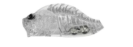 Zacrawl Jr Dash 6 Zacrawl Jr Dash - Image 6