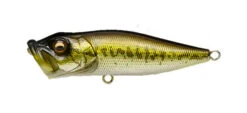 Megabass Pop-X -go fishing Pop X GG Bass