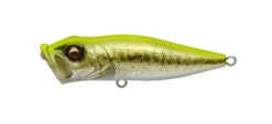 Megabass Pop-X -go fishing Pop X GG Chartreuse Bass