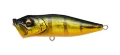 Megabass Pop-X -go fishing PopX GG Peacock
