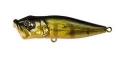 Megabass Pop-X -go fishing PopX GG Perch