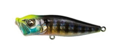 Megabass Pop-X -go fishing PopX GG Wild Gill