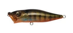 Megabass Pop-X -go fishing PopX GLX Ito Gill