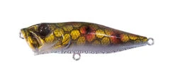 Megabass Pop-X -go fishing Pop X Genroku