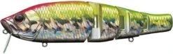 Royal Flash Jr. -go fishing Royal235SiteFLash