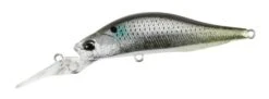 Rozante Shad 57MR -go fishing RozanteInakko 04e14df3 200f 4c46 80fb 794e92c5a32f