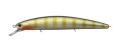 Rudra 130MSF 29 Rudra 130MSF -go fishing Rudra Green Gill