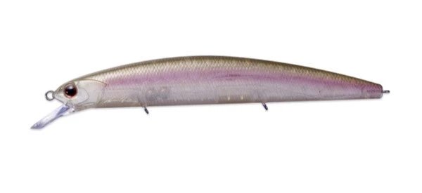 Rudra 130MSF 13 Rudra 130MSF - Image 13