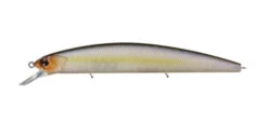 Rudra 130MSF 39 Rudra 130MSF -go fishing Rudra Tasty SHad JP 1