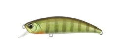 Spearhead Ryuki 45S -go fishing Ryuki ChartGill 600