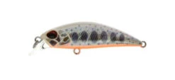 Spearhead Ryuki 45S -go fishing Ryuki Ivory 600
