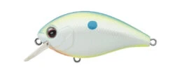 SH-3 Squarebill Crankbait -go fishing SH3Championshad