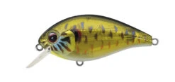 SH-3 Squarebill Crankbait -go fishing SH3skeletonpumpkinseed