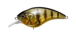 Megabass Sonic Side -go fishing SONICSIDE GP PRO PERCH