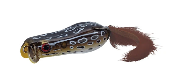 Softshell Showblows Frog 2 Softshell Showblows Frog - Image 2